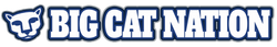 wearebigcatnation.com